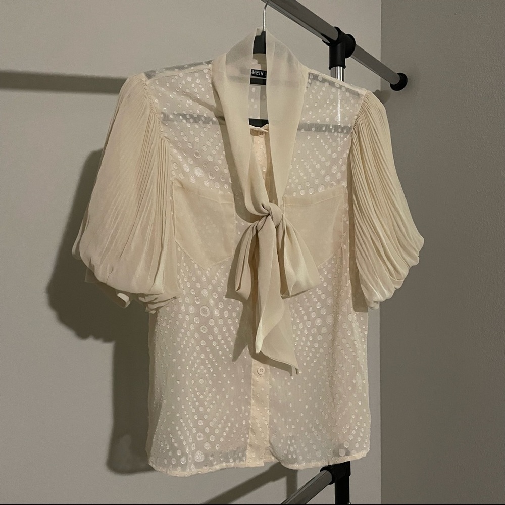Shein pleated transparent button down top
